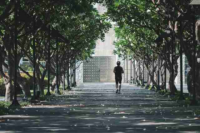 鉴黄师免费观看角色全面解析｜处理效率报告发布已成平台核心职位