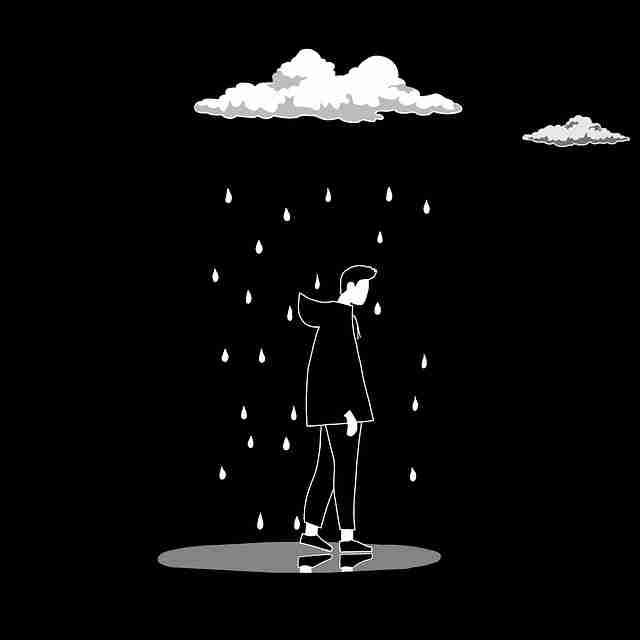 蘑菇影视官网站点数据指标权重调整|创作者中心界面简评流量表现影响扩大 第2张 蘑菇影视官网站点数据指标权重调整|创作者中心界面简评流量表现影响扩大 第2张
